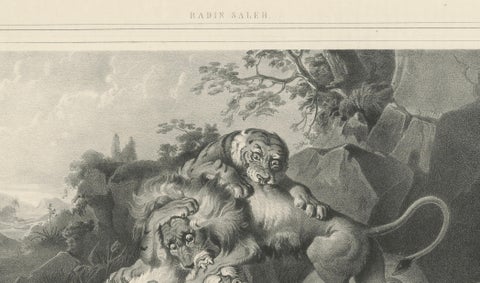 Raden Saleh Tigers & Lions Fight Horse Lithograph, The Hague c.1845, close-up 4