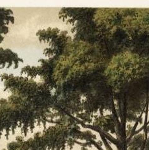 Old Print of Makassar in Celebes, Dutch East Indies or nowadays Indonesia, 1888, close-up 1