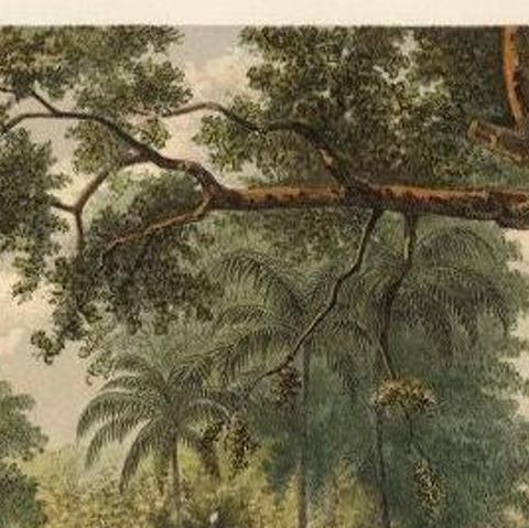 Antique Print of a Cemetery in Bontowala, Makassar, Celebes, Indonesia, 1888, close-up 1