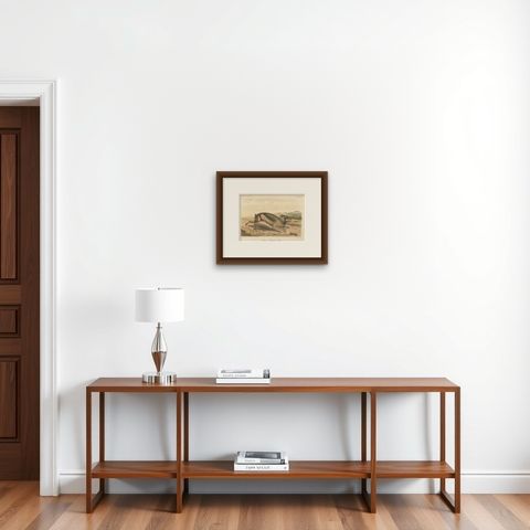 Sumatran Hare, Lepus Netscheri Schlegel, 19th Century Antique Lithograph, shown framed on a wall, true to size