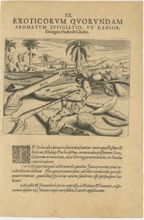 Aromatic Treasures of the Indies: The Enchanting Scents of De Bry’s Collection, view 2