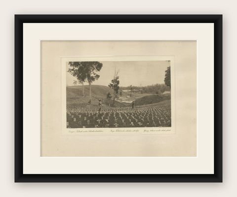 Young Tobacco Under Shade-Plants, Sungei Tatouk, C.J. Kleingrothe, ca. 1910, shown framed