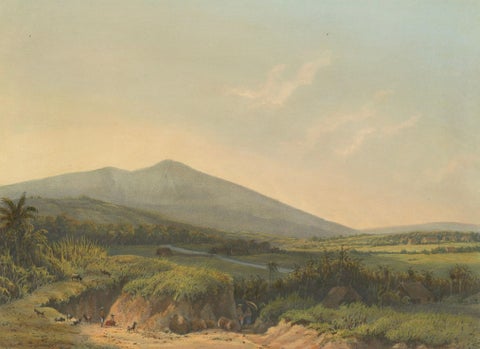 Mountain Landscape near Kedong Badak, Rare Java Lithograph from 1872, close-up 2