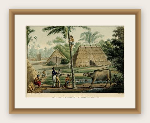 Old Print of French Travellers Visiting a Village in Kupang, Timor, 1825, shown framed