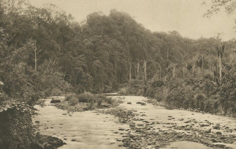 Antique Photo Gravure of Soengei Boewaya River, Sumatra, Indonesia, 1910, close-up 5