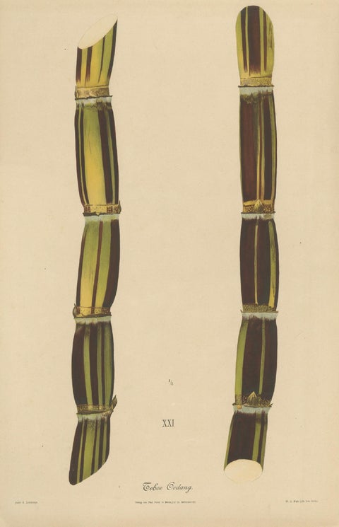 Antique Sugarcane Chromolithograph, Teboe Gedang, Java 1892, close-up 1