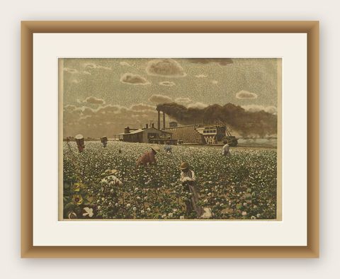 Antique Print 'Schoolplate' of a Cotton Field by F.E. Wachsmuth, circa 1900, shown framed
