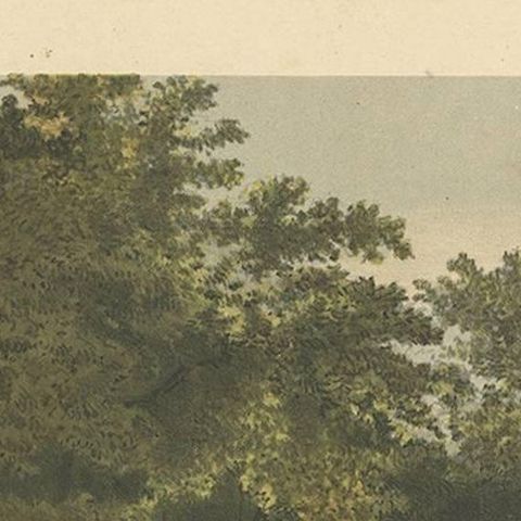Antique Print of the Royal Arboretum in Batavia by M.T.H. Perelaer, 1888, close-up 1
