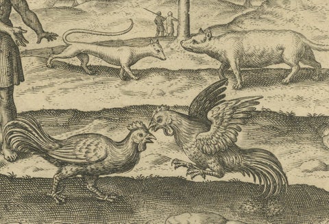The Cockfight of Java: A 1601 de Bry Engraving of Cultural Pastimes, close-up 5