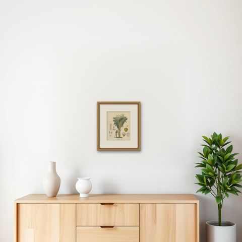 Antique Sago Palm Botanical Print, Copper Engraving, c.1831, shown framed on a wall, true to size