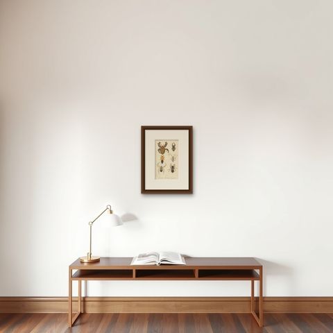 Antique Print of Sumatran Spiders, Orb Weavers & Jumping Spiders, c.1887, shown framed on a wall, true to size