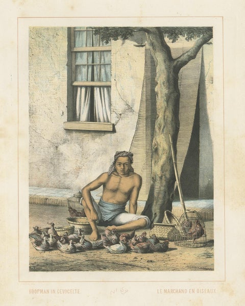 Antique Print of a Javanese Poultry Merchant by Van Pers, circa 1850, view 2