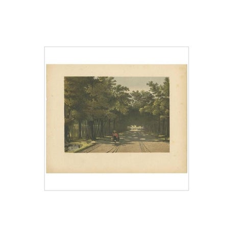 Antique Print of the Royal Arboretum in Batavia by M.T.H. Perelaer, 1888, view 2
