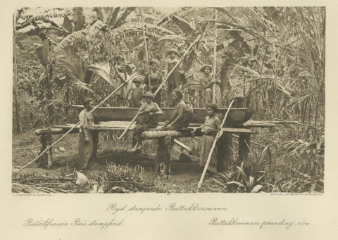 Batik, Sifting Rice & Women Working, Antique Photogravure of Batak People 1900, close-up 5