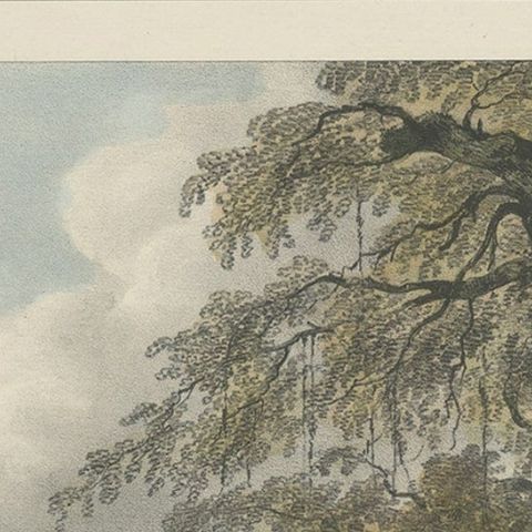 Antique Print of a Poeloe Sari and Karang Sari Mountain, West Java, Indonesia, close-up 2