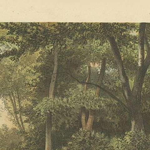 Antique Print of a Forest and Elephants in Indonesia by M.T.H. Perelaer, 1888, close-up 1