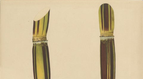Antique Sugarcane Chromolithograph, Teboe Gedang, Java 1892, close-up 4