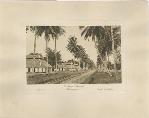Coolie Dwellings, Tandjong-Morawa, Sumatra, Indonesia (Kleingrothe, c.1900)