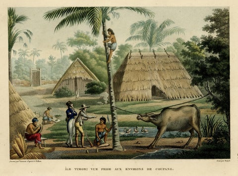 Old Print of French Travellers Visiting a Village in Kupang, Timor, 1825, close-up 1
