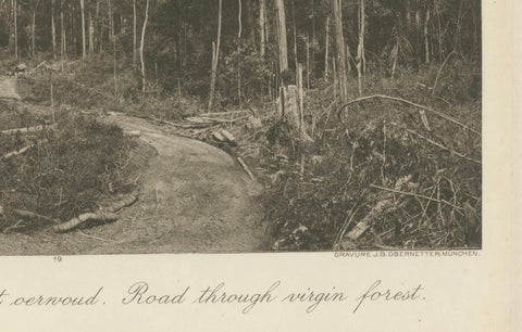 Stabat Government Bridge & Forest Road, Kleingrothe Photogravure c.1900, close-up 5