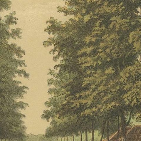 Antique Print of Avenue Paja Koembah 'Sumatra' by M.T.H. Perelaer, 1888, close-up 2
