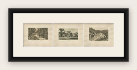 Set of 3 Antique Photogravures of Sumatra Plantations, Deli, Medan Region, 1900, shown framed