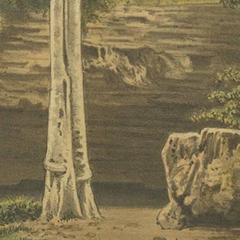 Antique Print of the Djati Forest by M.T.H. Perelaer, 1888, close-up 2