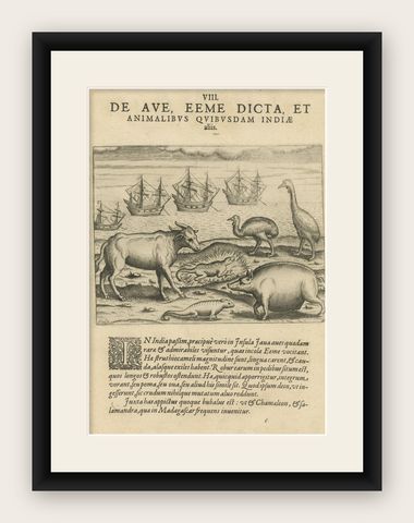 Rare Creatures of the East: A 1601 de Bry Copper Engraving from the Indies, shown framed