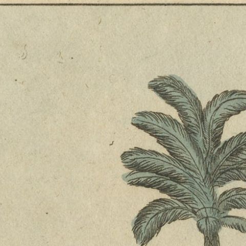 Antique Print of a Domestic Scene on Java, Indonesia, c.1840, close-up 2