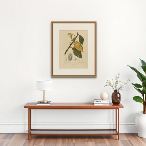 Antique Botany Print of a White Cacao Tree by Van Nooten, circa 1875, shown framed on a wall, true to size