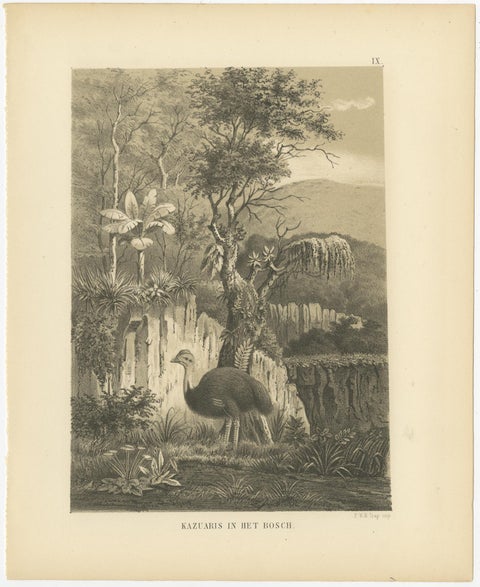 Set of 21 Antique Prints Illustrating the Travels to Cenderawasih Bay, 1875, view 10