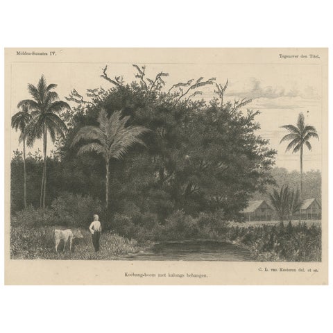 Antique Print of Koebang Tree with Kalongs, Sumatra by van Kesteren c.1887