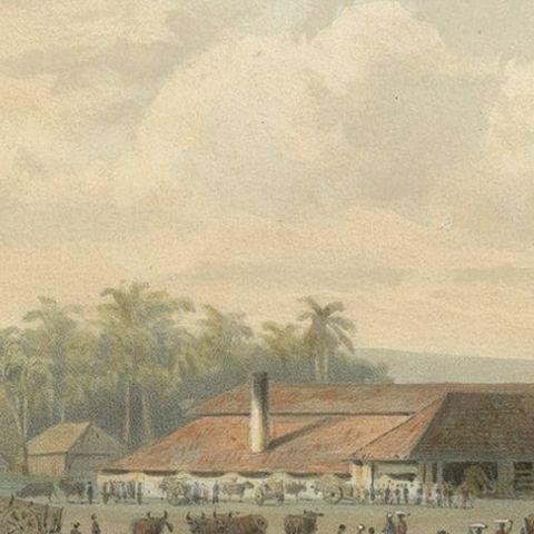 Original Chromolithograph of a Sugar Factory in Java, Indonesia, 1872, close-up 4