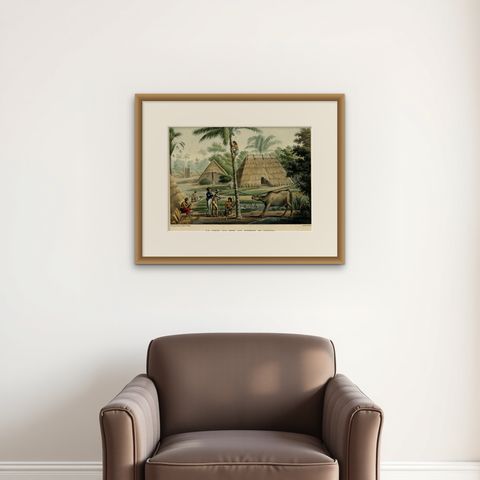 Old Print of French Travellers Visiting a Village in Kupang, Timor, 1825, shown framed on a wall, true to size