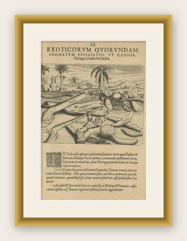 Aromatic Treasures of the Indies: The Enchanting Scents of De Bry’s Collection, shown framed