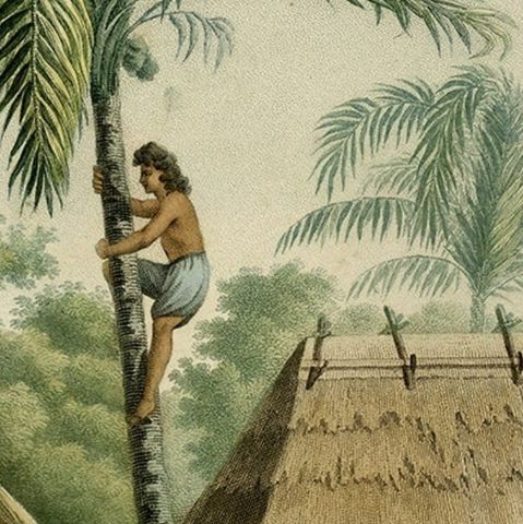 Old Print of French Travellers Visiting a Village in Kupang, Timor, 1825, close-up 2