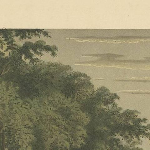 Antique Print of a Carriage Ride in Magelang by M.T.H. Perelaer, 1888, close-up 1