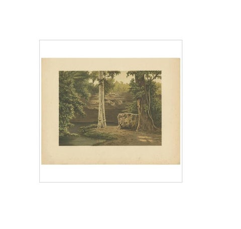 Antique Print of the Djati Forest by M.T.H. Perelaer, 1888, view 2