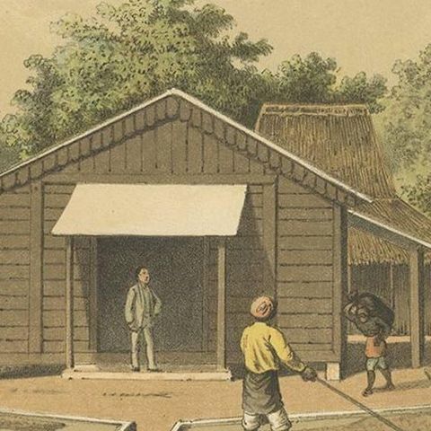 Antique Print of the Coffee Beans production on Sumatra by M.T.H. Perelaer, 1888, close-up 2