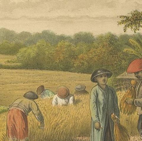 Antique Print of a Rice Field on Java by M.T.H. Perelaer, 1888, close-up 2