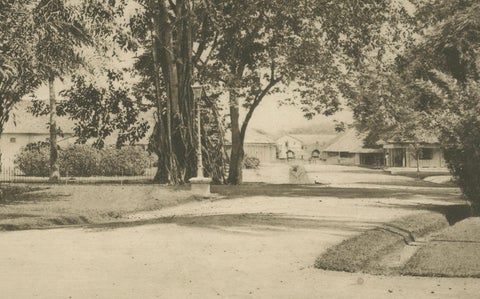Coffee Fermentation Sheds and Harvest, Padang Roetan, Sumatra, c.1910, close-up 2