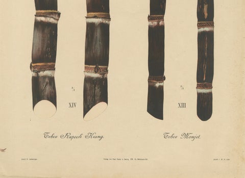 Antique Sugarcane Chromolithograph, Teboe Monjet and Teboe Rapooh Kiang, 1892, close-up 3
