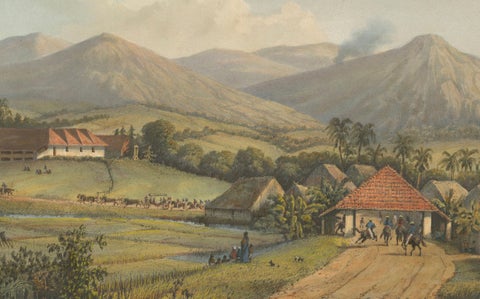 Java’s Kawis Mountains and Tobacco Estate near Malang, Antique Lithograph, 1872, close-up 1