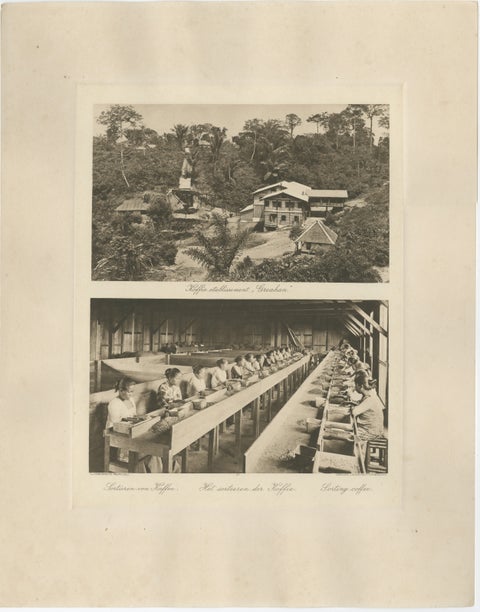 Coffee Establishment Girsahan & Sorting Coffee, Antique Photos Sumatra, c.1900