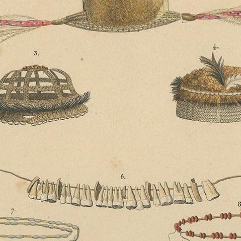 Print with Papua Decoration 'New Guinea, Indonesia' by Temminck, circa 1840, close-up 1