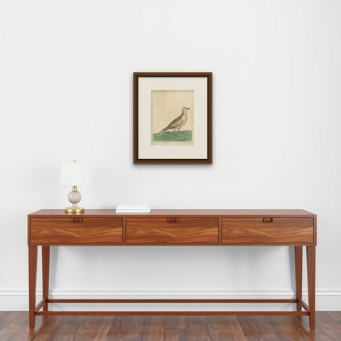 Antique Bird Print of a Turtle Dove from the East Indies, shown framed on a wall, true to size