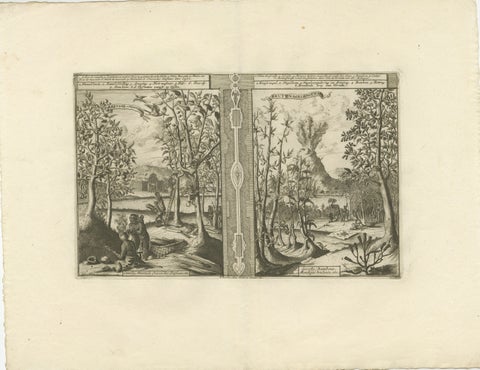 Exotic Bounty: The Spice Lands of the East Indies by R. de Hooghe, circa 1708, view 2