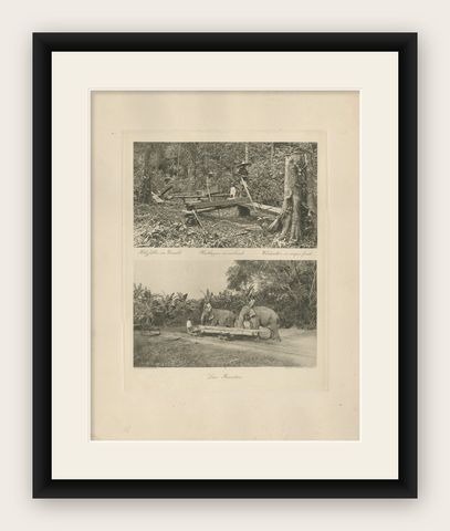 Logging Elephants, Lau Boentoe, Antique Dutch East Indies Photo c.1910, shown framed