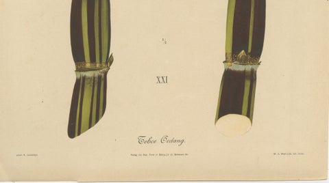 Antique Sugarcane Chromolithograph, Teboe Gedang, Java 1892, close-up 3