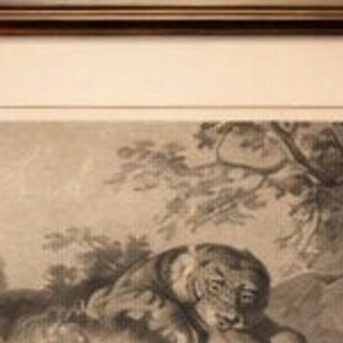 Raden Saleh Tigers & Lions Fight Horse Lithograph, The Hague c.1845, close-up 6